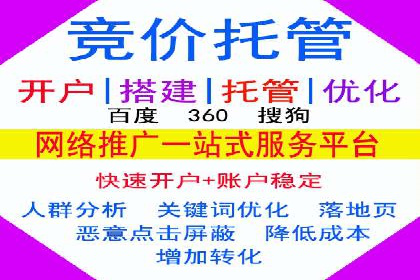 竞价推广策略：某电商平台的成功案例